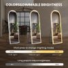 3 Color Lighting Mirror with LED Lights, 63"x20" Lighted Floor Standing Mirror with Stand