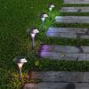 Landscape Decoration Lighting Outdoor Solar Lights